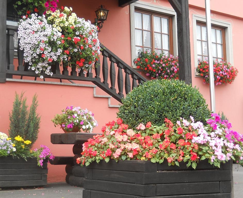 Hotel Schwarzes Ross Schwarzach am Main Dış mekan fotoğraf