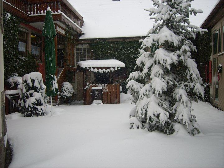 Hotel Schwarzes Ross Schwarzach am Main Dış mekan fotoğraf